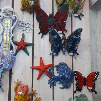 papillon etoile de mer