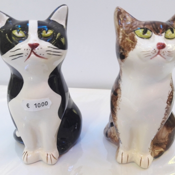 chat