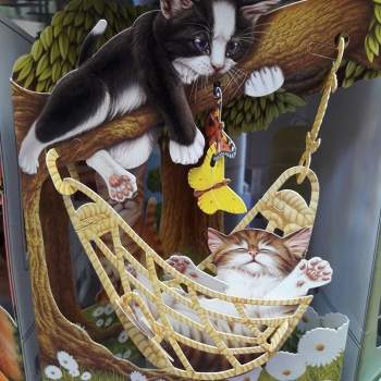 19731912_1530910126984098_5321123358674590867_n