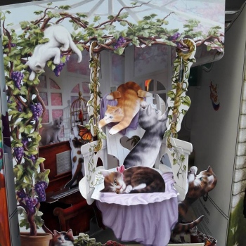 19748811_1530909976984113_4462004914419846668_n