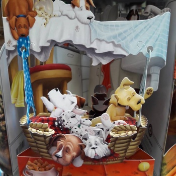 19756838_1530910193650758_5723144137783462418_n