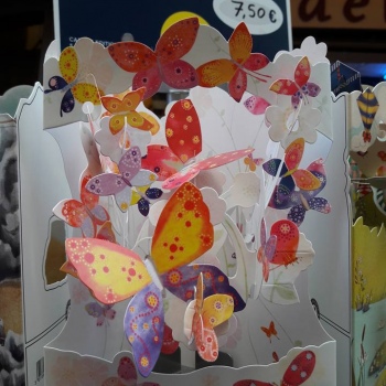 19875372_1530910943650683_5861342468079006540_n