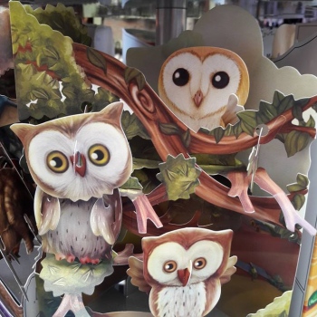 19894590_1530910460317398_2253311494421234836_n