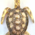 Tortue de mer en céramique à accrocher modèle moyen peint à la main - beige