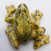 Grenouille en céramique grand modèle unique création française – Image 8
