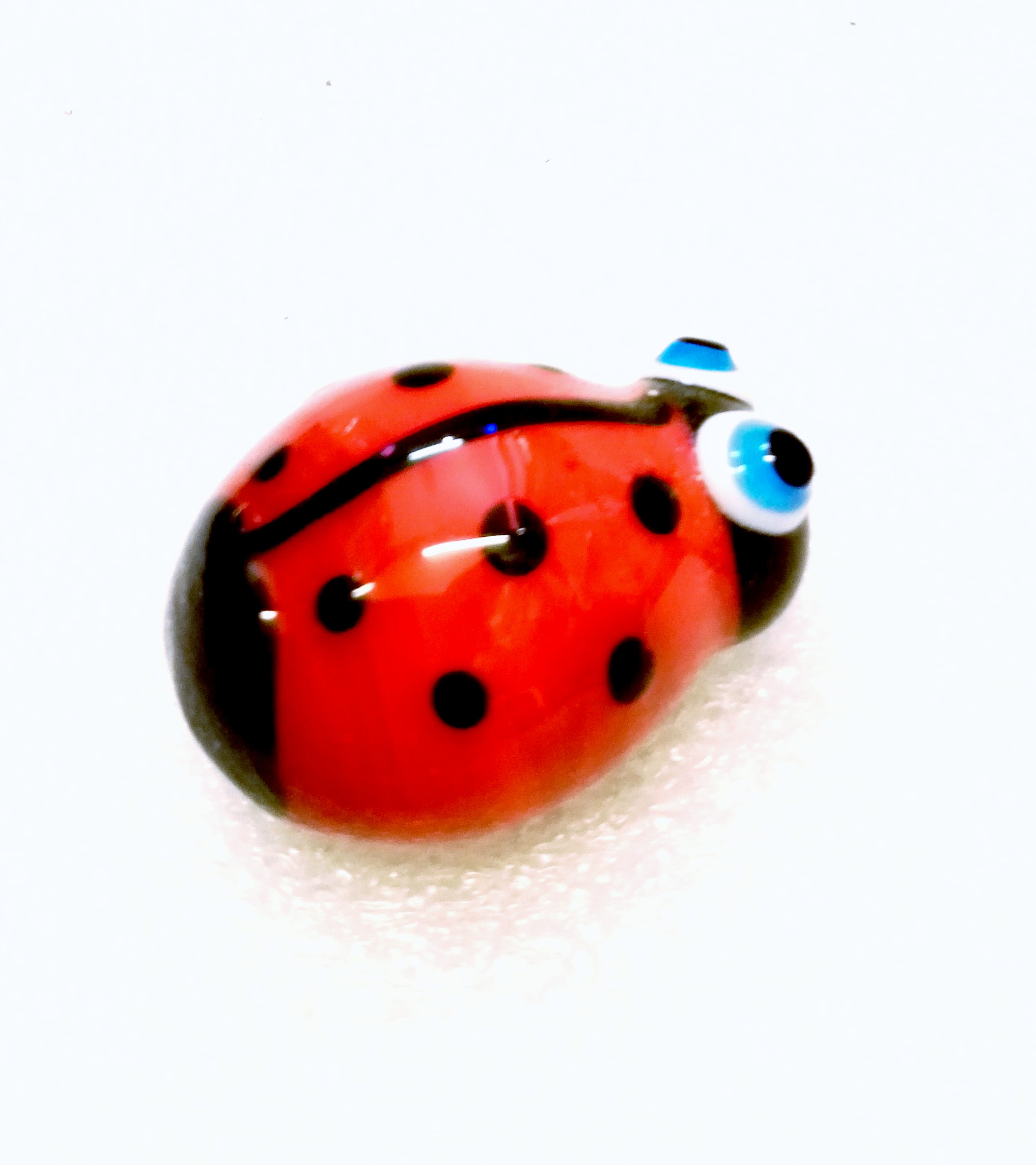 Red Coccinelle Insecte Beetle Flottant Charme Argent Pour Verre Mémoire médaillons 