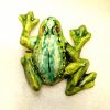 Grenouille en céramique grand modèle unique création française – Image 4