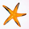 Étoile de mer en céramique grand modèle à accrocher fabriquée en France – Image 10