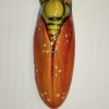 CIGALE ARTISANALE MAGNET EN CERAMIQUE FRANCAISE