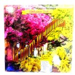 Dessous de plat Verdon, Bormes, Nice, Saint Tropez, Cannes, Monaco, Menton, Flamants - Bormes les Mimosas