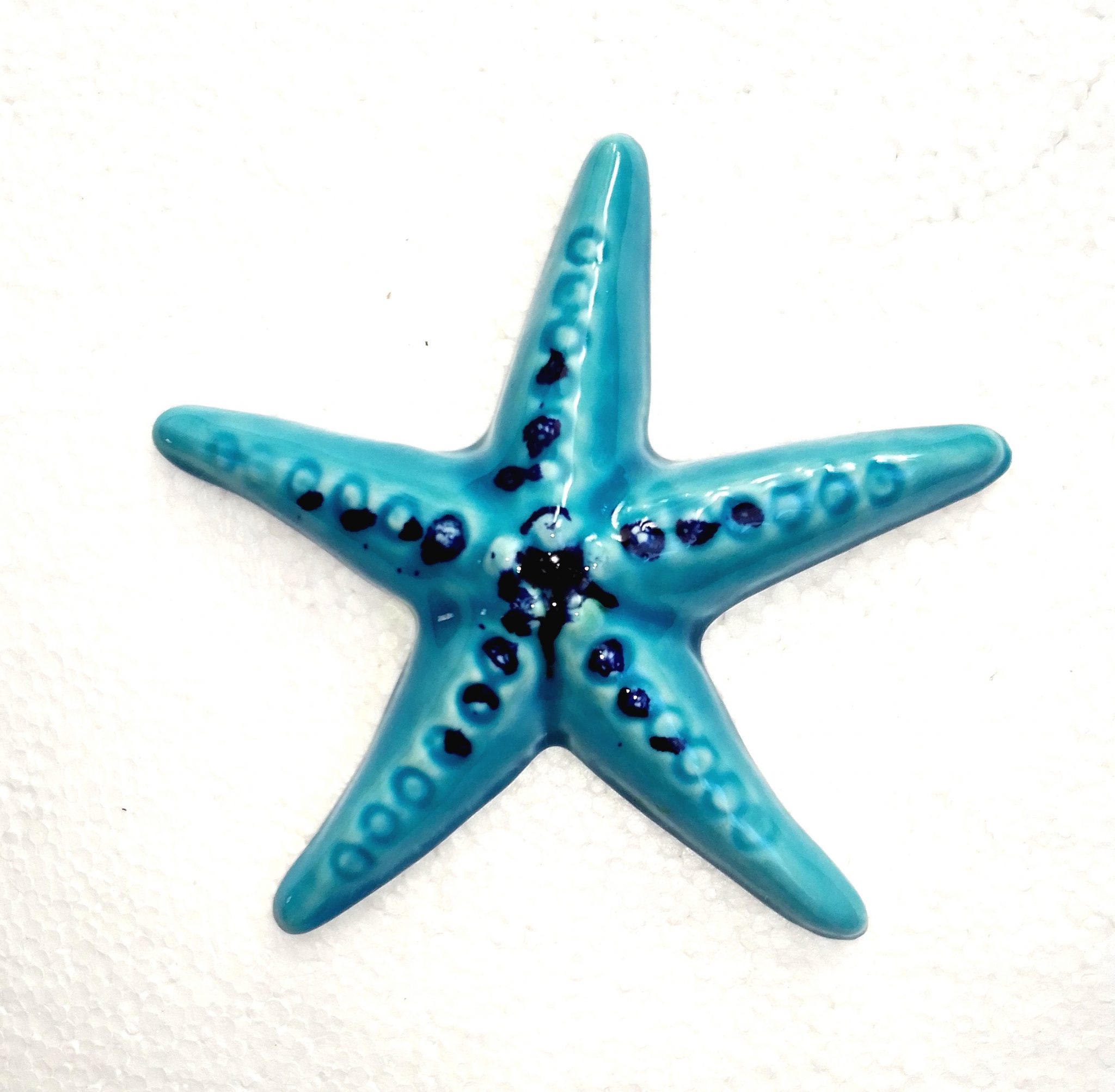 Etoile de mer en céramique modeler