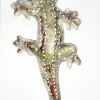 Gecko/salamandre en céramique fabriqué en France – Image 13
