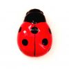 Coccinelle en céramique petit modèle 10 cm