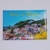 Bormes les mimosas magnet