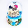 Nice/Monaco/Antibes/Cannes boule à neige