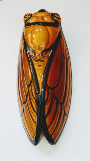 cigale miel écaille marron foncé en céramique