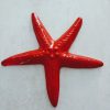 étoile de mer rouge en céramique fabriquée en France