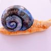 petit escargot bleu noir en céramique à poser ou à accrocher 9 cm